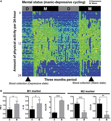 Microglial CD206 Gene Has Potential as a State Marker of Bipolar Disorder